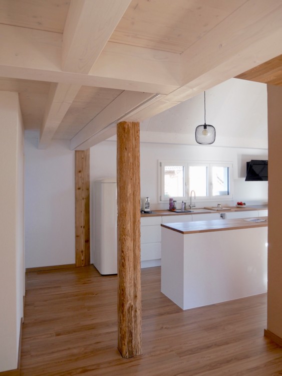 Eintritt Wohnhalle Umbau Bauernhaus Lengnau