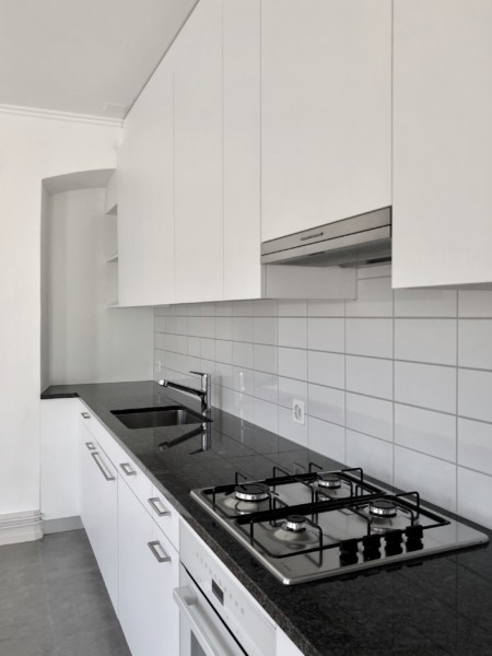 Kücheneinbau Küche neu alt Altbau